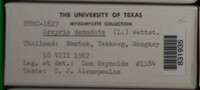 Image Associated With the Occurence